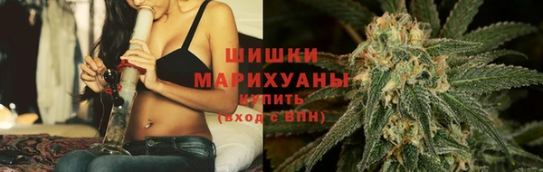 стаф Баксан
