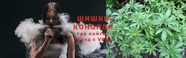 стаф Баксан
