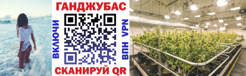сколько стоит  Обь  hydra как зайти  Каннабис планчик 